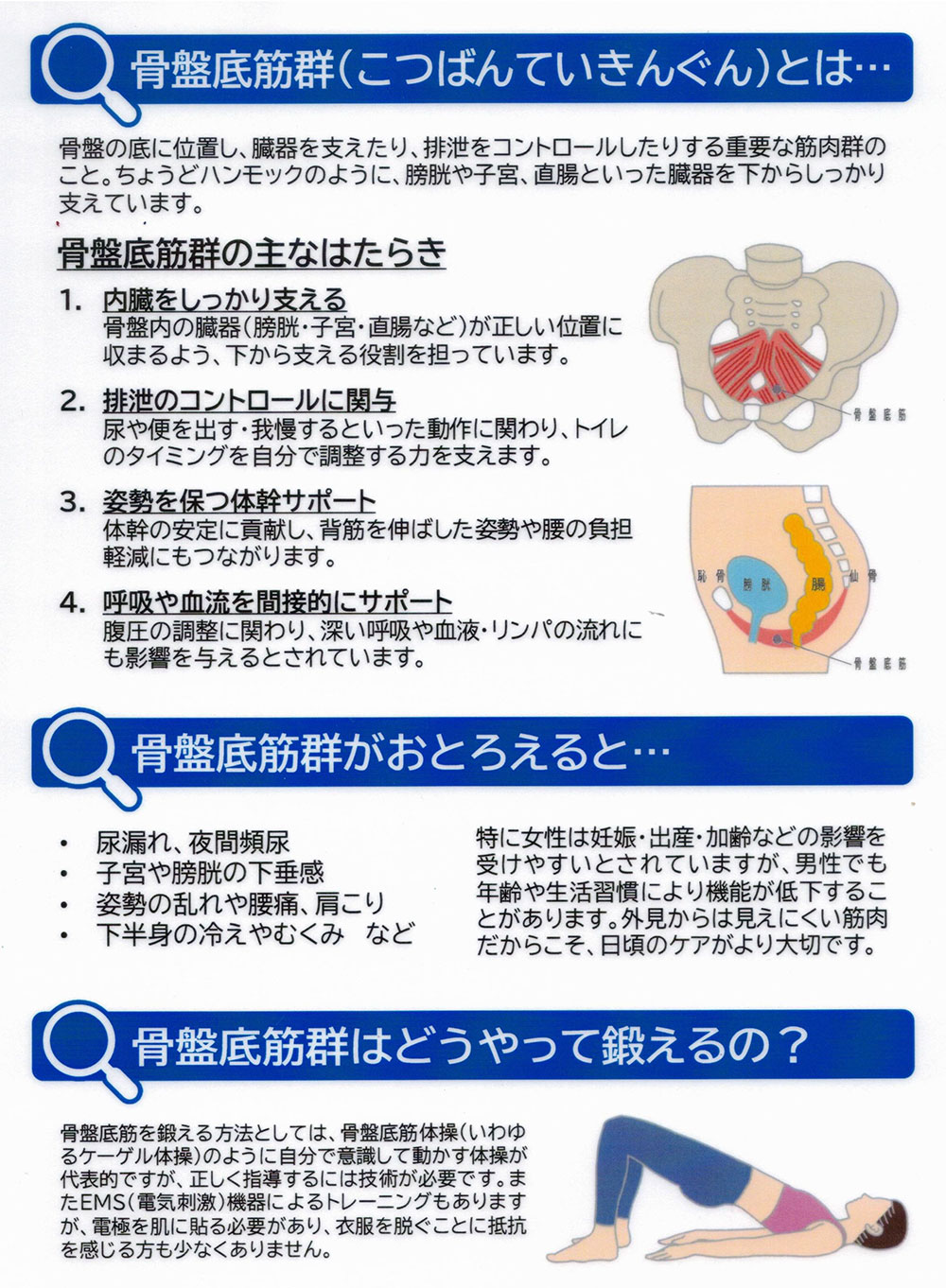 骨盤底筋ケア：マセクサーフィット